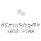 为什么篮球传奇的训练和发展理念值得借鉴_1